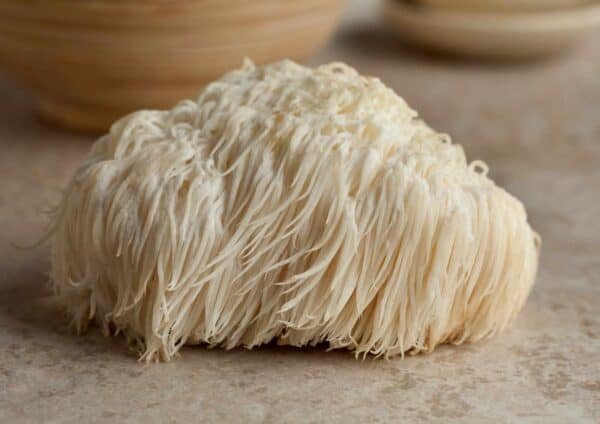 Liūto karčiai - Monkey Head LION’S MANE (Hericium erinaceus)