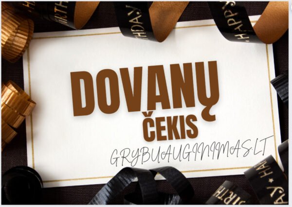 Dovanų čekis