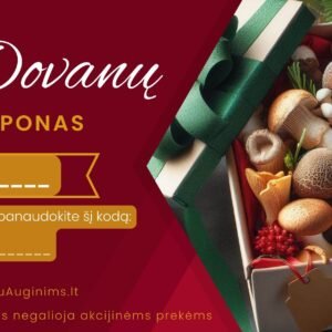 Dovanų kuponas